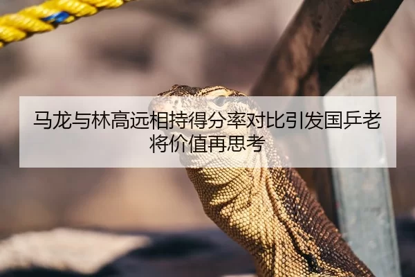 马龙与林高远相持得分率对比引发国乒老将价值再思考
