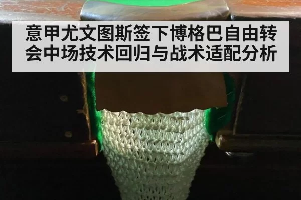 意甲尤文图斯签下博格巴自由转会中场技术回归与战术适配分析