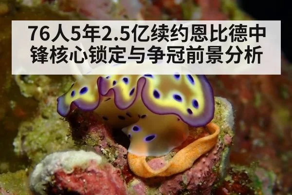 76人5年2.5亿续约恩比德中锋核心锁定与争冠前景分析
