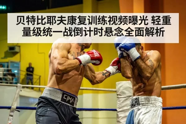 light heavyweight unification fight