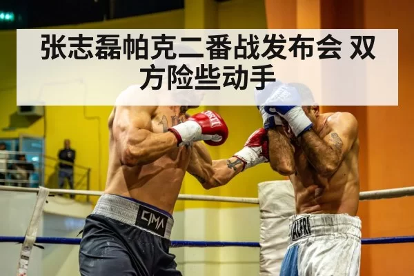 heavyweight boxing staredown