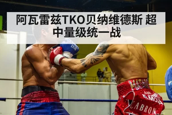阿瓦雷兹TKO贝纳维德斯 超中量级统一战